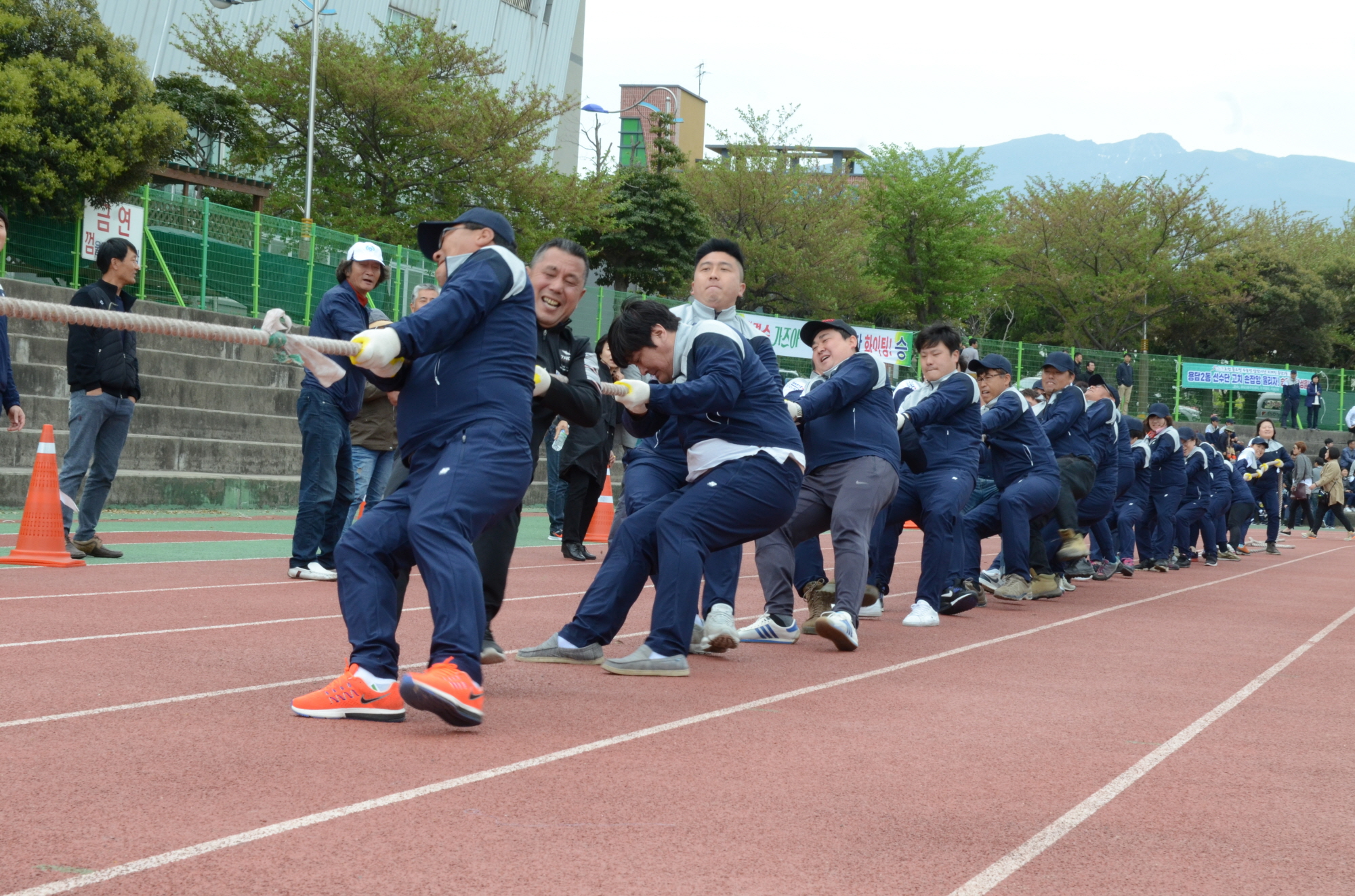 제52회 제주도민체전 대회1일차 경기(4.13 애향운동장 민속경기 줄다리기)