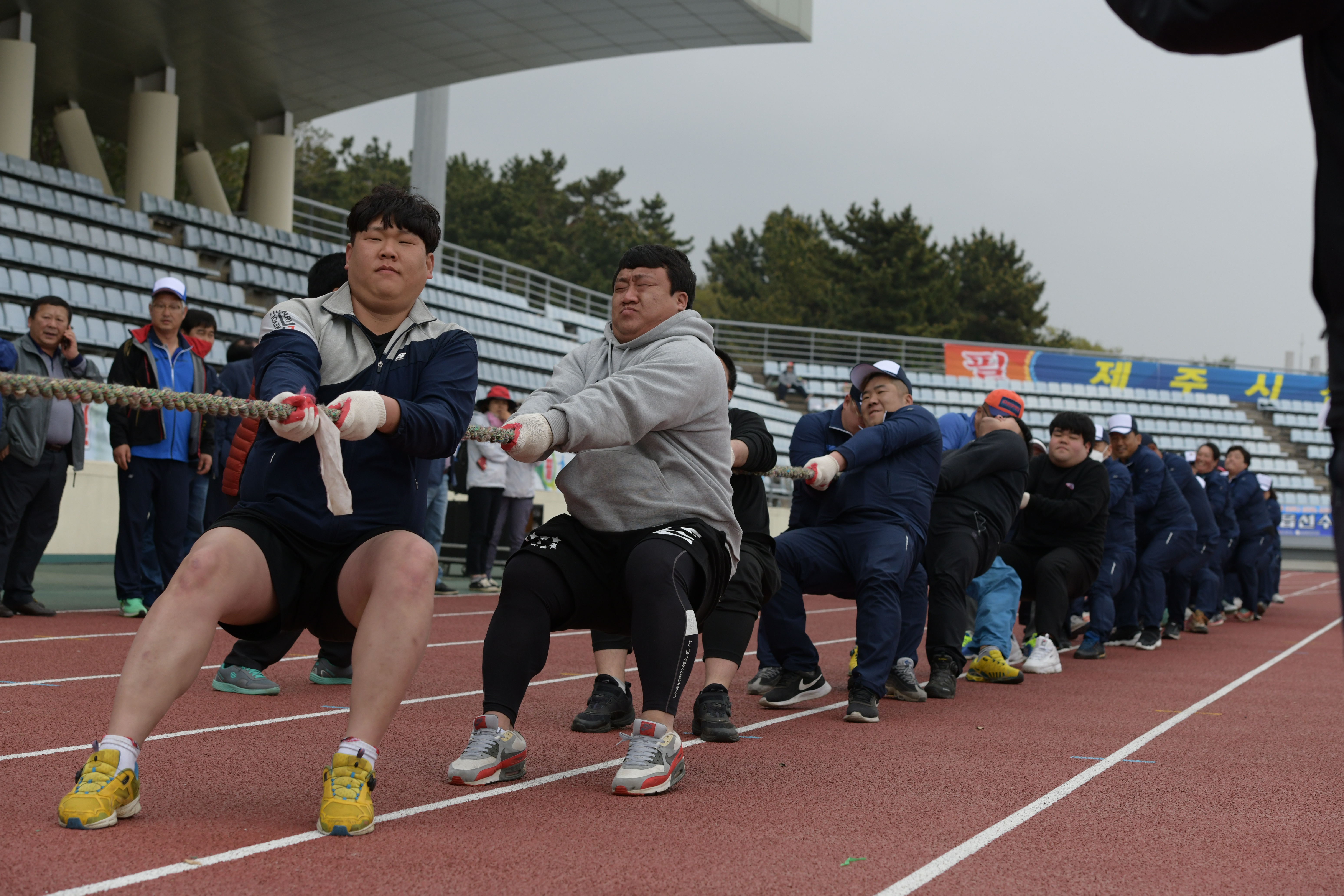 개회